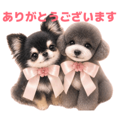 chaami_20260501144034