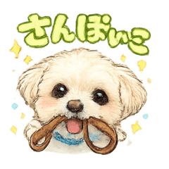 mikam_20260501145158