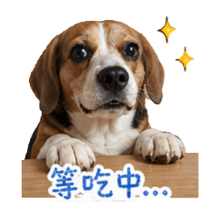 豆豆熊熊2