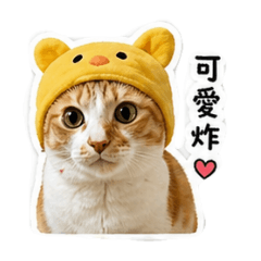 阿澎耶日常