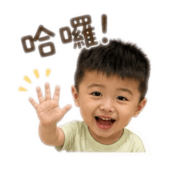 諾諾歷險記