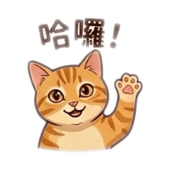 花生小橘
