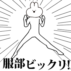 Rabbit Name hattori.moves!