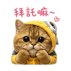 喵喵の可愛攻擊