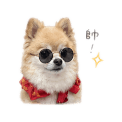 我叫葉小裘！