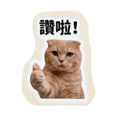 阿喵可愛貼圖