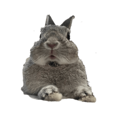 drtyhhuuuuuu