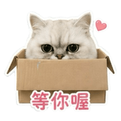 Yuki在幹嘛