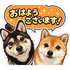 KINAKO_20260501194653