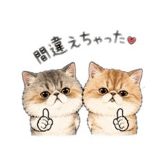 kinako_20260501150429