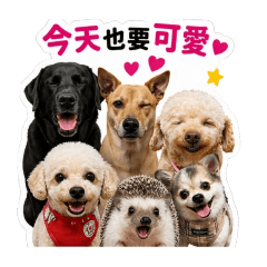 E家芽麻舞春吉