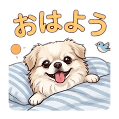 chiwawa meru