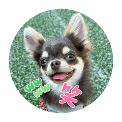 Fupon_20260501194642