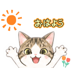 ami_20260501152019