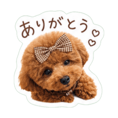 kawaiimeruchan