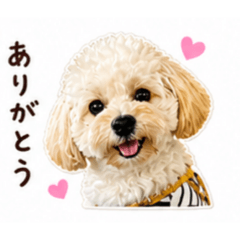 monasan01