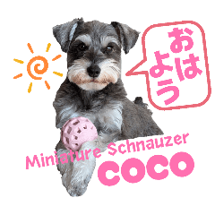 famous_20260501151036