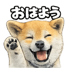 kaneko_20260501152409