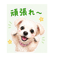 purinpapa_20260501152956