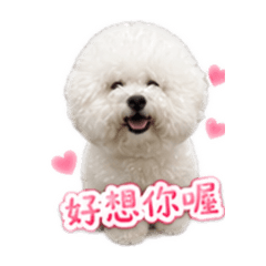 泥哥泥泥
