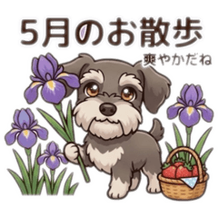 mopy_20260501154550