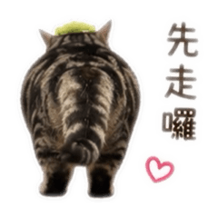 周小迪❤️