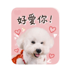 雪Q餅的日常用語篇