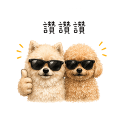 粉圓&湯圓來了