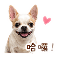 劉肉圓