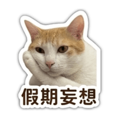 GPT班班