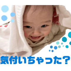 Ssse_20260501155556