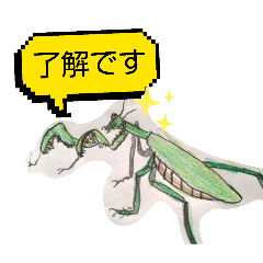 mikayan_20260501155544