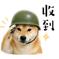 小Na 2.0