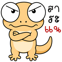 Bug-Eyed Gecko (THAI)