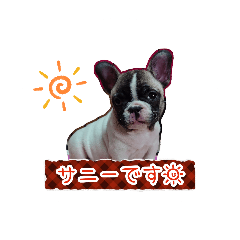 49Saneee_20260501160734