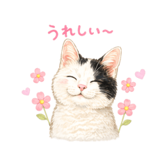 haru_20260501163421