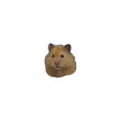 taa_20260501173227