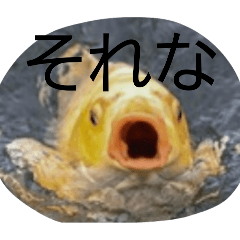Ryusei_20260501173338