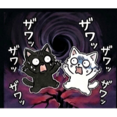 Sora white cat and Yozora black cat