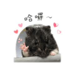 歐嘛嘛