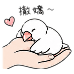 兩隻呼嚕仔