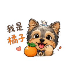 橘子の日常用語