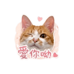 歐比的快樂時光