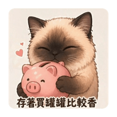 三寶阻止抽卡