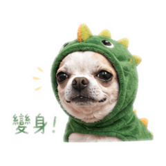可愛劉多多