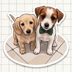 TT&MM Dooog