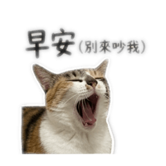qqq.y_uan