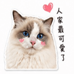 憨吉是媽寶