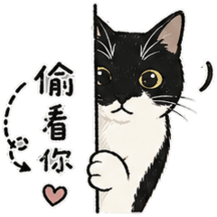 小美茆咪