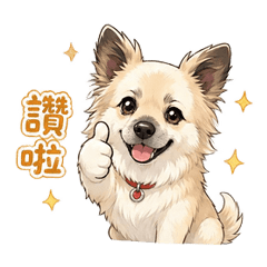 瑪莉來囉